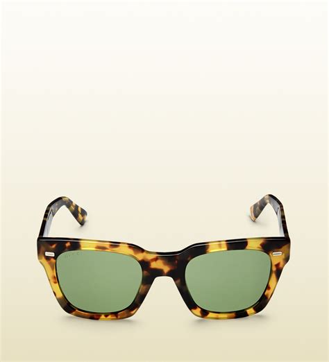gucci havana green sunglasses